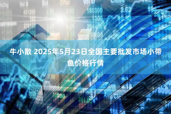 牛小散 2025年5月23日全国主要批发市场小带鱼价格行情
