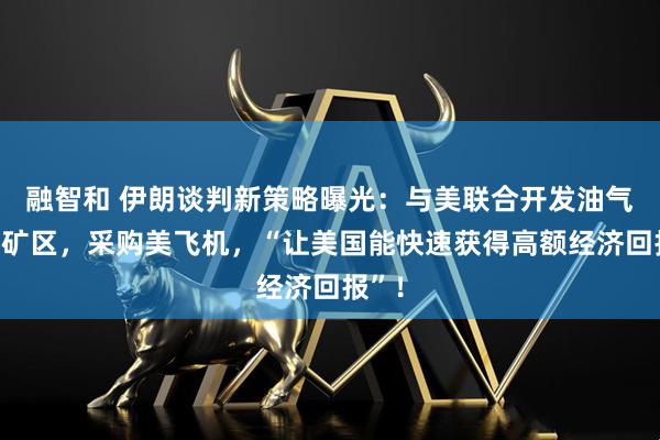 融智和 伊朗谈判新策略曝光：与美联合开发油气田、矿区，采购美飞机，“让美国能快速获得高额经济回报”！