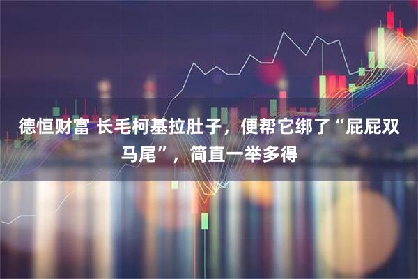 德恒财富 长毛柯基拉肚子，便帮它绑了“屁屁双马尾”，简直一举多得
